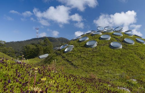 The Living Roof of California Academy of Sciences, San Franciso