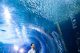 aquarium-of-the-bay-underwater-1200x675